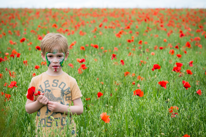 Oxfordshire Poppies