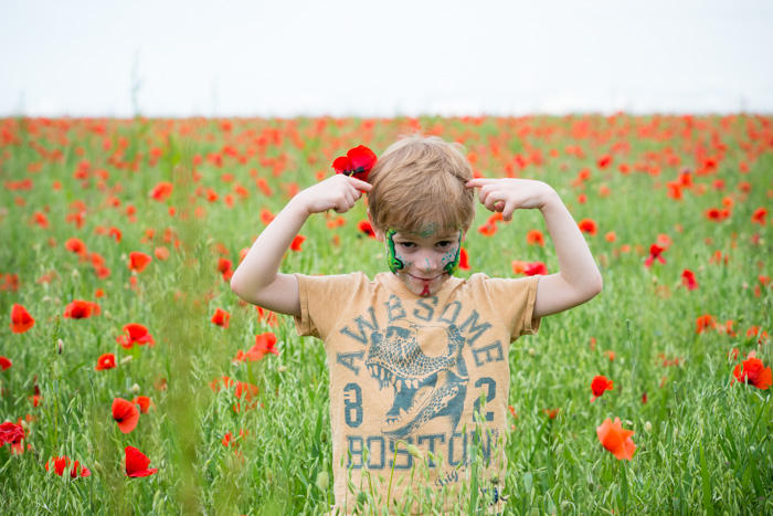 Oxfordshire Poppies