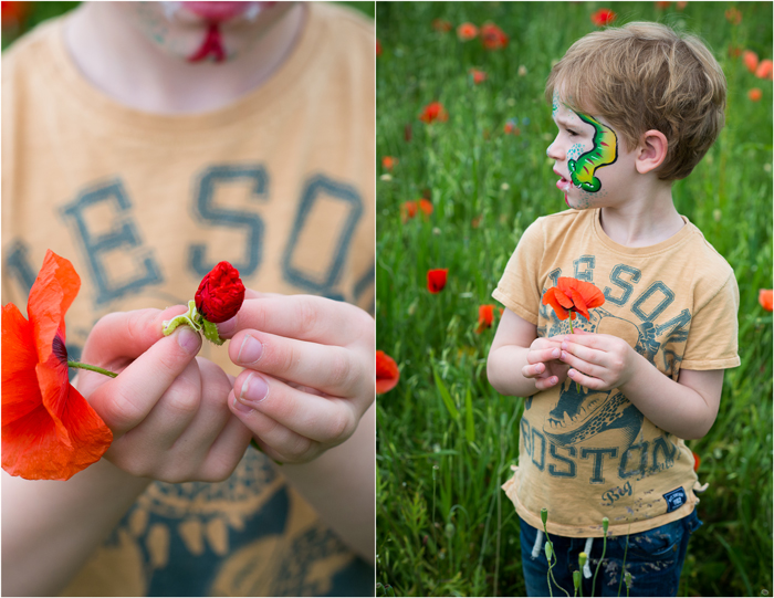 Oxfordshire Poppies