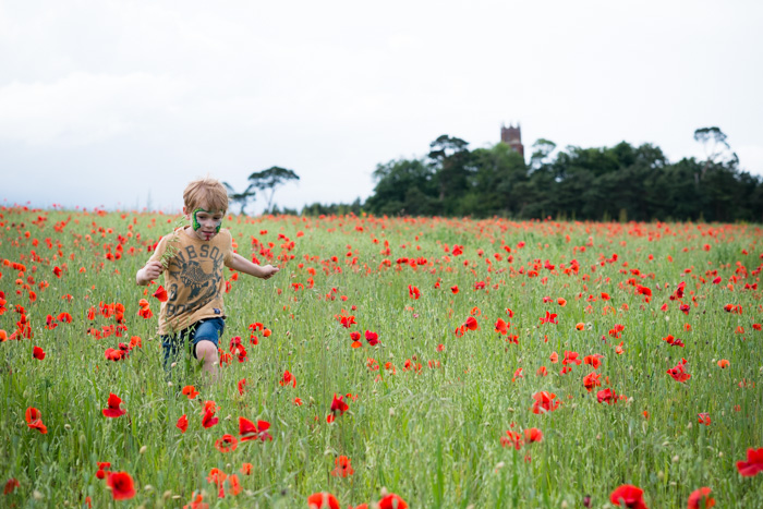 Oxfordshire Poppies